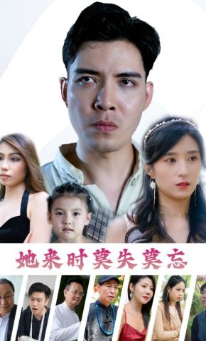 短剧《她来时莫失莫忘》海报