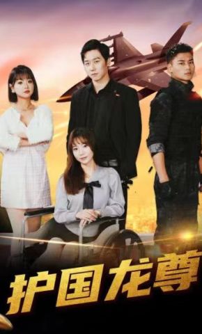 短剧《护国龙尊》海报