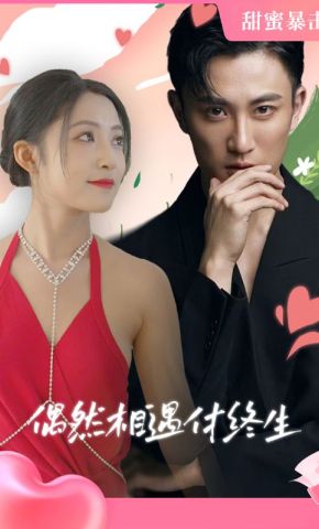 短剧《偶然相遇付终生》海报