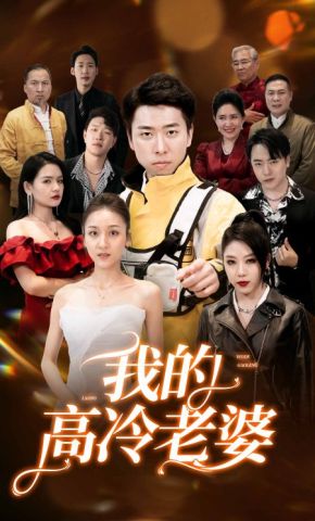 短剧《我的高冷老婆》海报