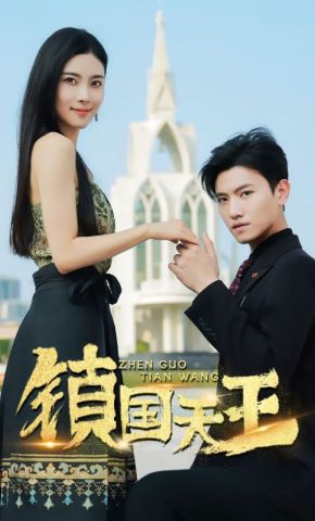 短剧《镇国天王》海报