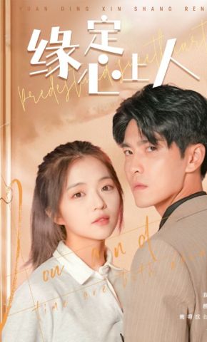 短剧《缘定心上人》海报