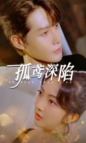 短剧《孤鸢深陷》海报
