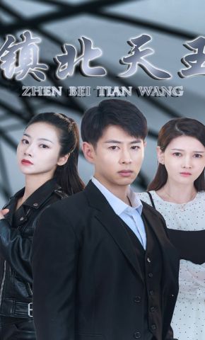 短剧《镇北天王》海报