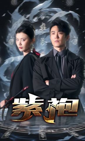 短剧《紫袍》海报