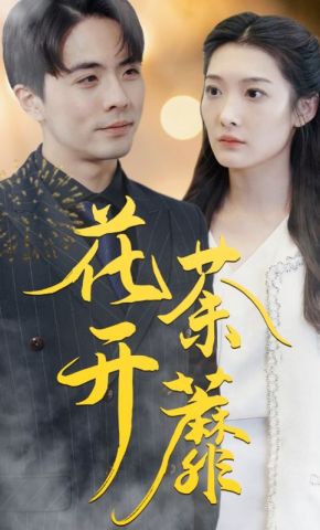 短剧《花开荼蘼》海报