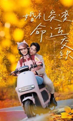 短剧《婚礼突变，命运交织》海报