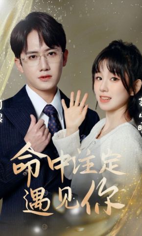 短剧《命中注定遇见你》海报
