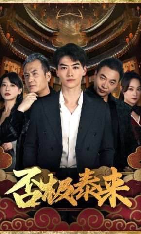 短剧《否极泰来》海报
