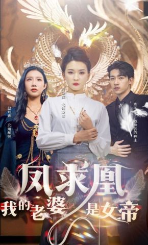 短剧《凤求凰我的老婆是女帝》海报
