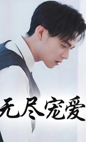 短剧《无尽宠爱》海报