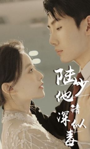 短剧《陆少他情深似毒》海报