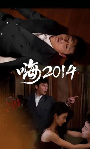 短剧《嗨2014》海报