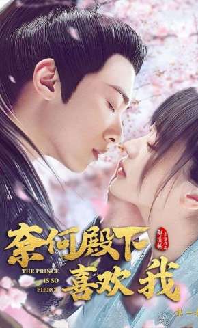 短剧《奈何殿下喜欢我第一季》海报
