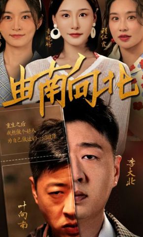 短剧《由南向北》海报