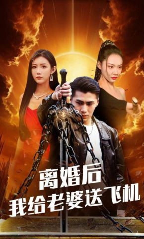 短剧《离婚后我给老婆送飞机》海报