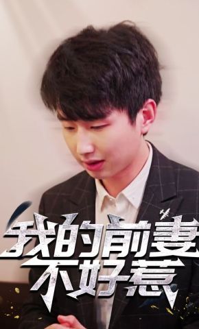 短剧《我的前妻不好惹》海报