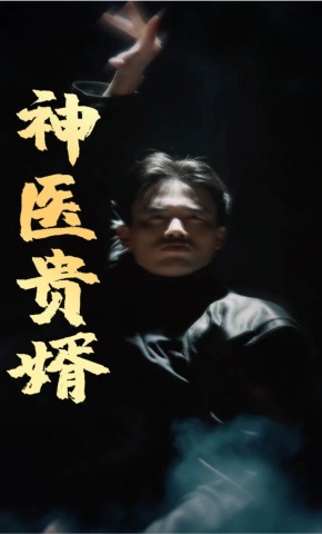 短剧《神医贵婿》海报