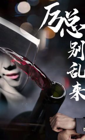 短剧《厉总别乱来》海报