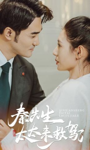 短剧《秦先生太太来救驾了》海报