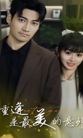 短剧《重逢是最美的意外》海报