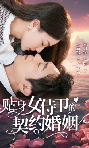 短剧《贴身女侍卫的契约婚姻》海报