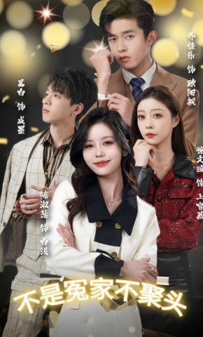 短剧《不是冤家不聚头》海报