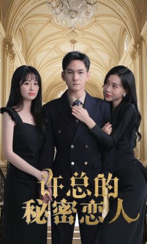 短剧《许总的秘密恋人》海报