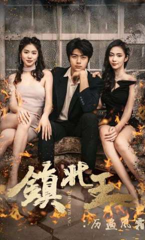 短剧《镇北王：历遍风霜》海报