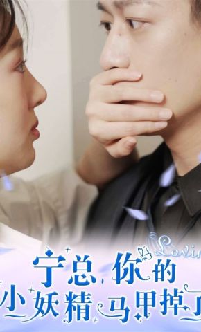 短剧《宁总，你的小妖精马甲掉了》海报