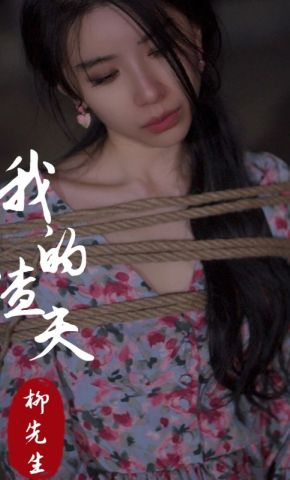 短剧《我的渣夫柳先生》海报