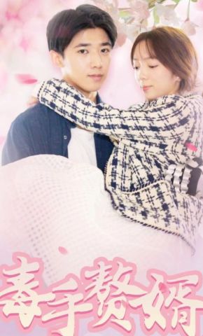 短剧《毒手赘婿》海报