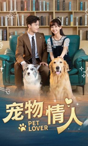 短剧《宠物情人》海报