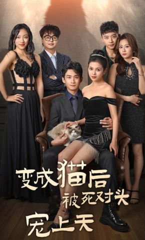短剧《变成猫后被死对头宠上天》海报