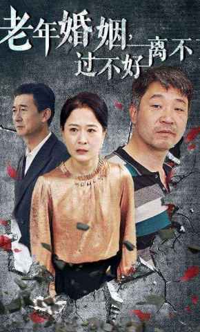 短剧《老年婚姻，过不好离不了》海报