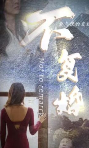 短剧《不复婚》海报