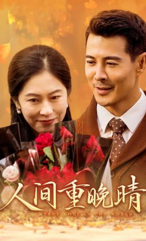 短剧《人间重晚晴》海报