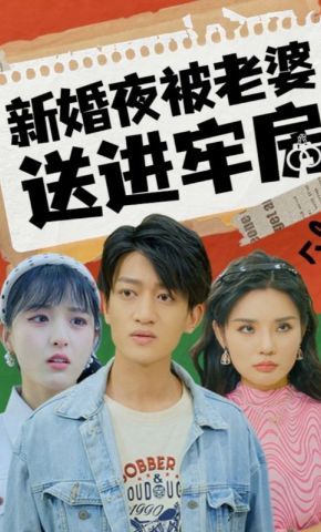 短剧《新婚夜被老婆送进牢房》海报