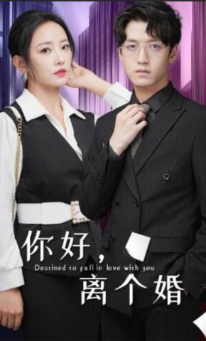 短剧《你好，离个婚》海报