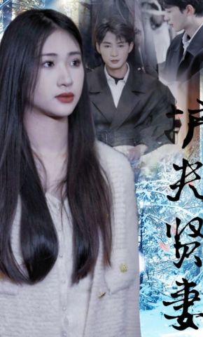 短剧《护夫贤妻》海报