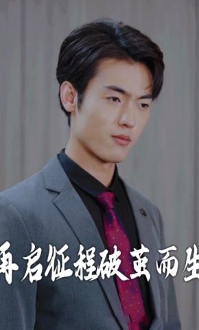 短剧《再启征程破茧而生》海报