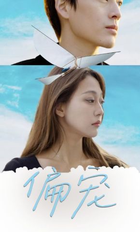 短剧《偏宠》海报