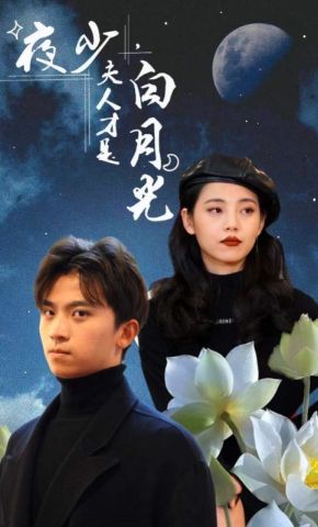 短剧《夜少，夫人才是白月光》海报