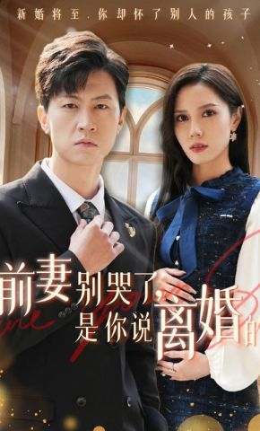 短剧《前妻别哭了，是你说离婚的》海报