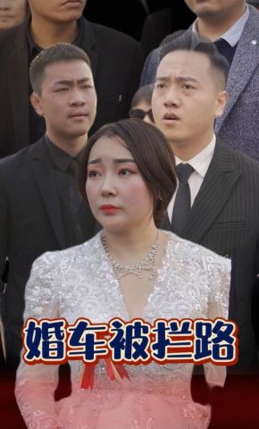 短剧《婚车被拦路》海报