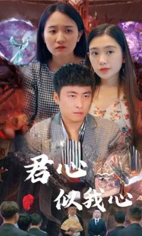 短剧《君心似我心》海报