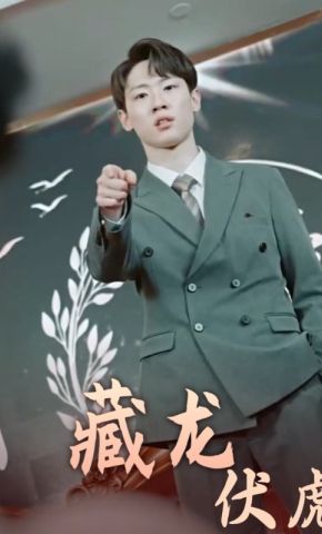 短剧《藏龙伏虎》海报