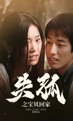 短剧《失孤之宝贝回家》海报