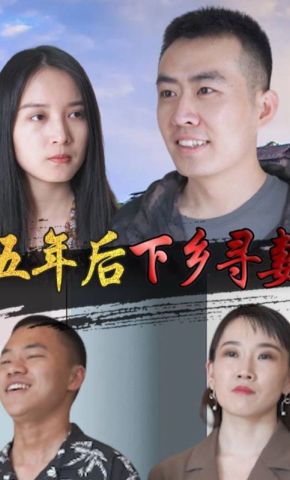 短剧《五年后下乡寻妻》海报