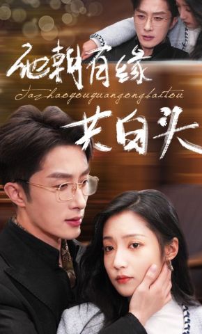 短剧《他朝有缘共白头》海报